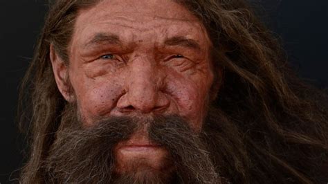 Humans And Neanderthals More Similar Than Polar And Brown Bears The