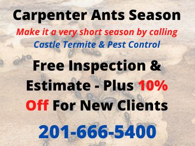 Eastern pest control nj provides liquid and baiting termite elimination systems. Call us for all of your pest control... - Castle Termite ...