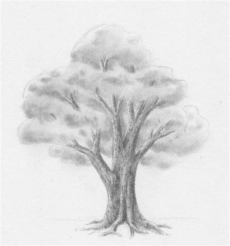Schöner wohnen leicht gemacht dieser kunstdruck wird auch. Laub - Baum - Zeichnen Lernen - Zeichenkurs with Schöne ...