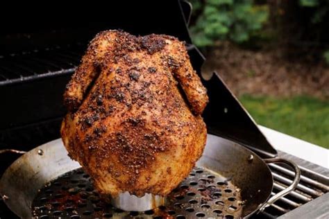Most people do not like to keep chickens because they are afraid of these enemies but there are things you can do to prevent pests and predators from attacking your flock. Easy Beer Can Chicken (Beer Butt Chicken) | A Farmgirl's ...