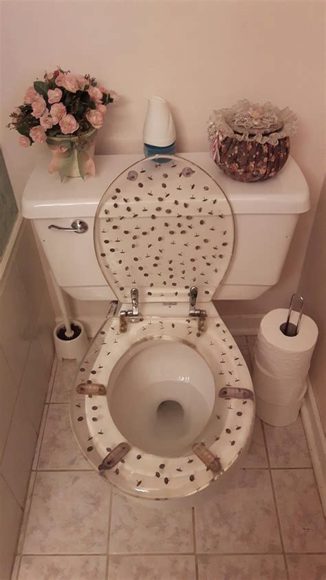 Go Sit On A Tack Funny Toilet Seat Cover For A Guest Bathroom