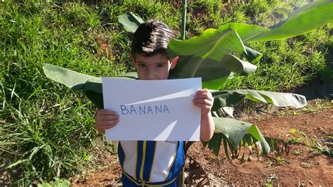 Escola Adalmir Lugar De Criança Feliz Identificando As árvores Do Pomar