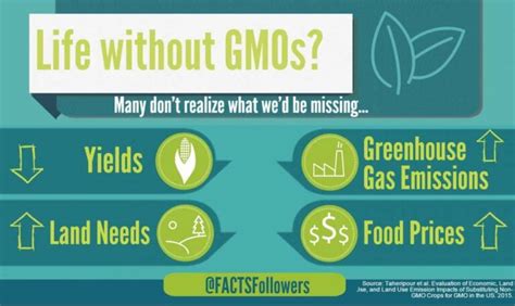 A Useful Guide To Understanding Gmos Food Insight