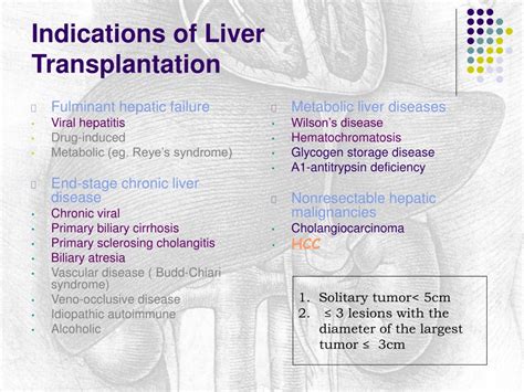 Ppt Liver Transplantation Powerpoint Presentation Free Download Id