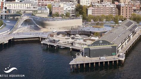 Seattle City Council Approves 34 Million For Seattle Aquarium