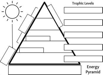 Blank Energy Pyramid Worksheet
