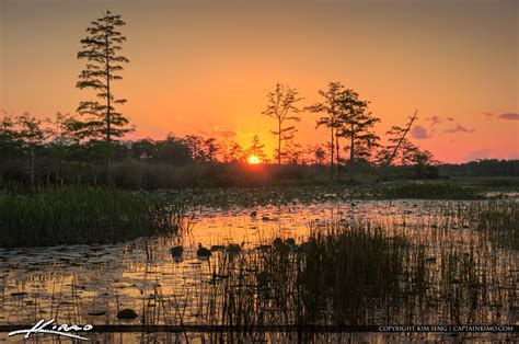 Palm Beach Gardens Natural Area Sunset Wetlands Hdr Photography By