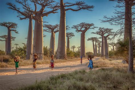 16 Amazing Things You Probably Didnt Know About Madagascar