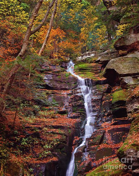 Waterfall Autumn Catskill Mountains Ii Photograph By Gary W Griffen
