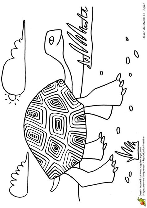 Coloriage Jolie Tortue Sur Hugolescargot Hugolescargot