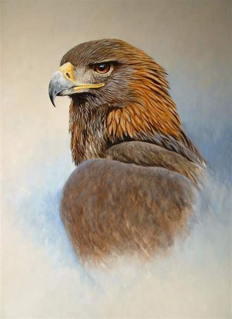 Golden Eagle By Colin Chandler Via Uk