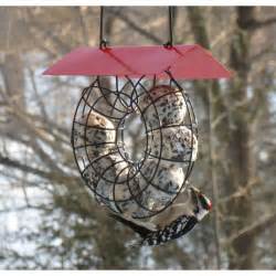 To make the balls you want to use your hands to create a sphere, and then split it in half. Circle Suet Seed Ball Bird Feeder