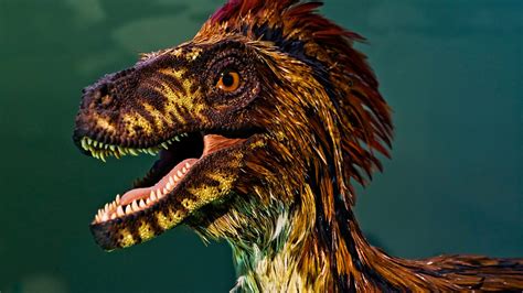 Velociraptor Feathers Discovery