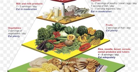 Malaysian Cuisine Nutrient Food Pyramid Nutrition Png X Px