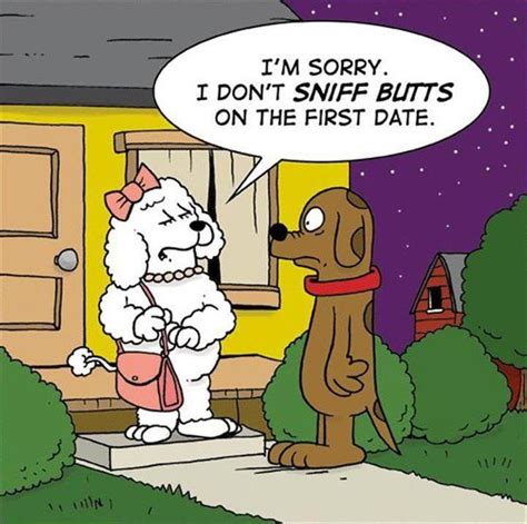 Pin By Rose Wernette On Funny Stuff Funny Dog Jokes Funny Toons Dog