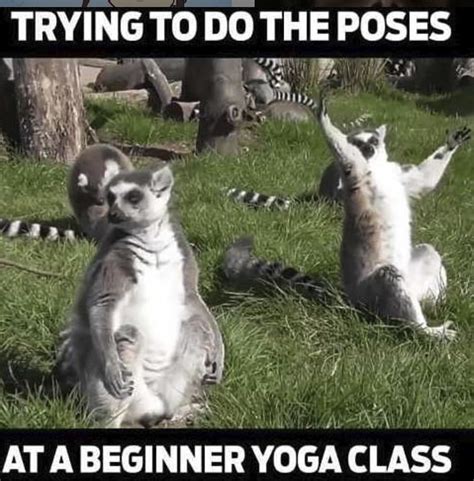 These Yoga Memes Will Make You Zen Af Namaste Yall Memes