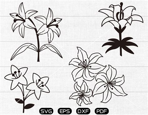 Lily SVG Flower Clipart Cricut Silhouette Cut Files | Etsy