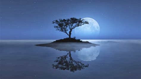 Full Moon Night Nature Wallpaper Iwallhd Wallpaper Beautiful Scenery