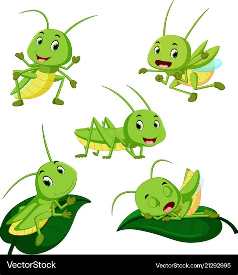 Set Collection Grasshopper Cartoon Royalty Free Vector Image