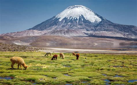 Viajes Por Chile 2023 Guía Por El Norte Y Sur De Chile