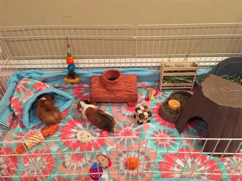 Custom Guinea Pig Fleece Cage Liner Flat Or With 6 Or 12 Inch Etsy