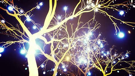 Glowing Trees Stock Motion Graphics Motion Array