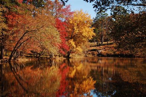 Arkansas Fall Foliage Is Expected To Be Bright And Bold