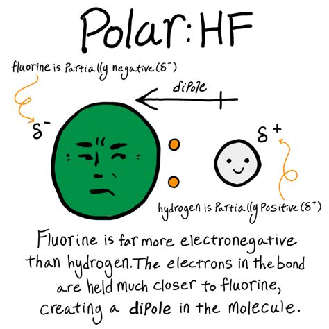 Polar is a type of covalent bond where atoms share electrons unequally. Biology: Polar vs. Nonpolar Bonds - Expii in 2020 ...