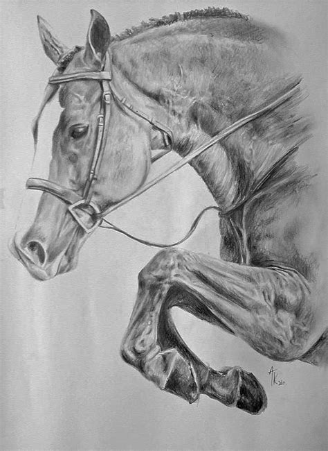 Horse Pencil Drawing Drawing By Arion Megid Khedhiry Pixels