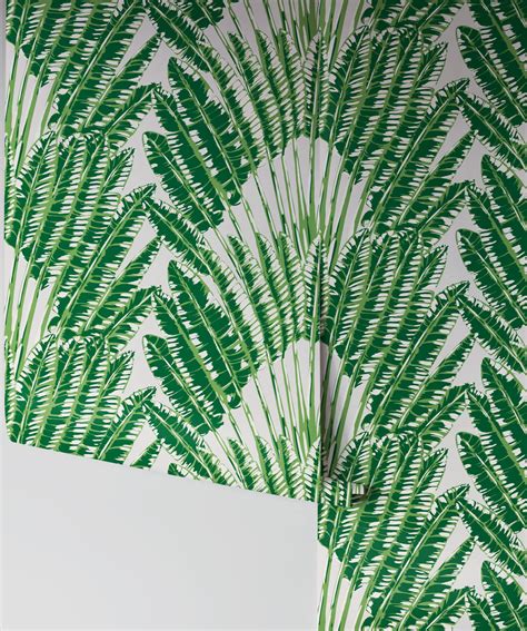 Feather Palm Wallpaper Big Bold Tropical Leaf Milton And King Uk