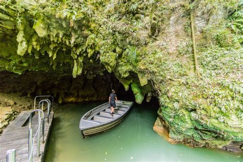 Visit The Waitomo Glowworm Caves In New Zealand Savored Journeys