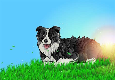 Border Collie Lay On The Ground 132582 Vector Art At Vecteezy