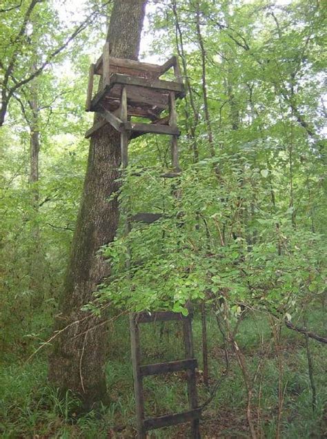 Are You Guilty Of Putting Your Deer Stand Last Skunk Ape Tree Stands