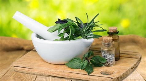 Folk Medicine Stay Healthy With Traditional Herbalism