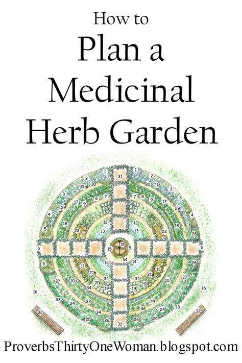 How To Plan A Medicinal Herb Garden Proverbs 31 Homestead