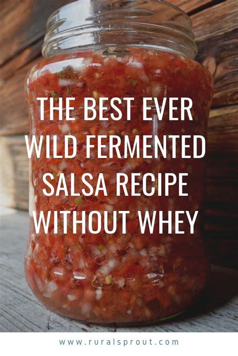 the best ever wild fermented salsa recipe without whey recipe fermented vegetables recipes