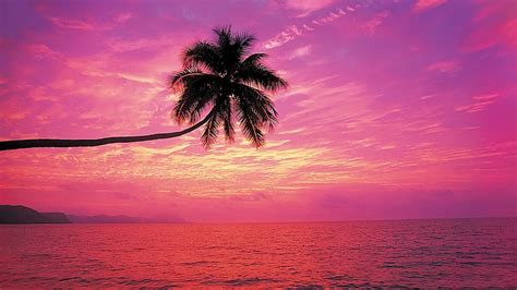 Pink Sunset Heart Beach Sunset Hd Wallpaper Pxfuel