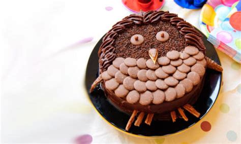 All they need is a lot of play and some crunchy snacks that can keep them there are varieties of chocolate cakes available. Chocolate owl birthday cake recipe - Kidspot