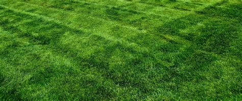 4 Rules For Mowing Lawns In Michigan Big Lakes Lawncare Blog