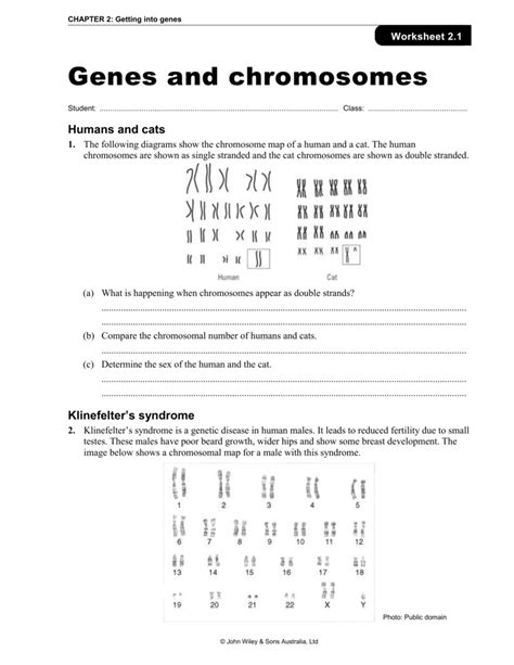 Name three reasons cells undergo cell division. 35 Chromosome Number Worksheet Answers - Worksheet ...