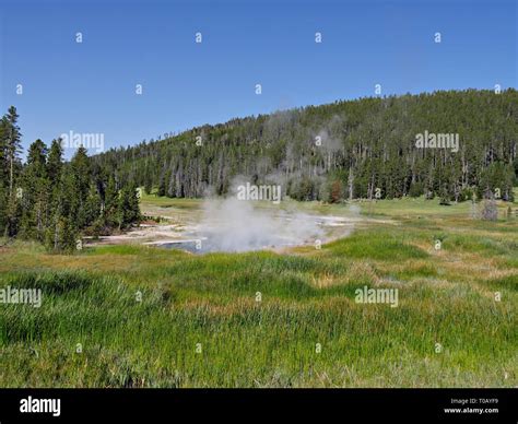 Wide Scenic View Of Green Trees And Forests With A Bubbling Hot Spring