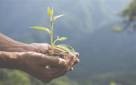 Día Mundial Del Medio Ambiente 5 Prácticas Para Hacer Turismo Responsable