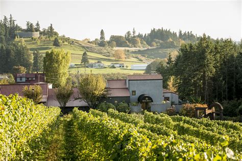Wineries To Explore In Willamette Valley Wine Country Learn More