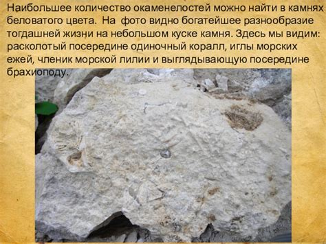 Презентация по теме Геологическое строение и минеральные ресурсы ...