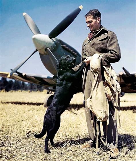 British Fighter Pilot And His Best Friend Bazenville Normandy France