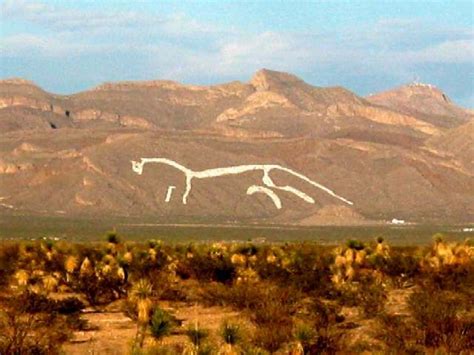 Ciudad Juarez White Horsechihuahuamexico Painted In Whitewash On A