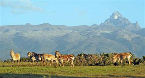 Popular Destinations In Kenya Mt Kenya National Park Kenya Safari