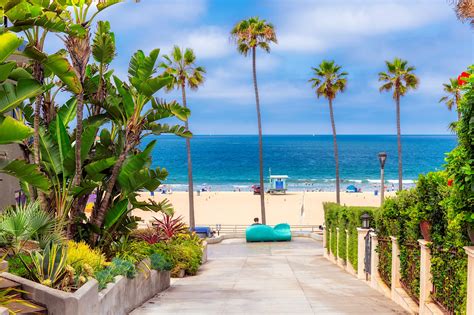 Best Beaches In Los Angeles Lonely Planet