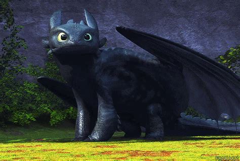 Happy Toothless Gif