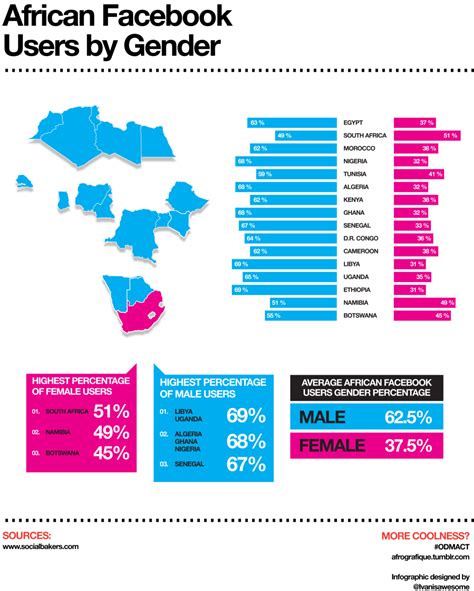 African Facebook Users By Gender Infographic Africa Infographics